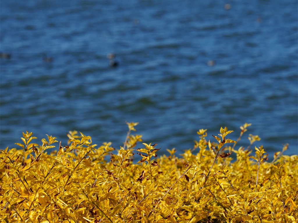 2022年摄于中国云南